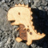 Wooden Dinosaur Badge