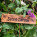 Signs