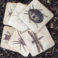 Wooden Bug Coasters
