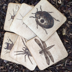 Wooden Bug Coasters