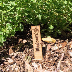 Single Herb or Vegetable Markers