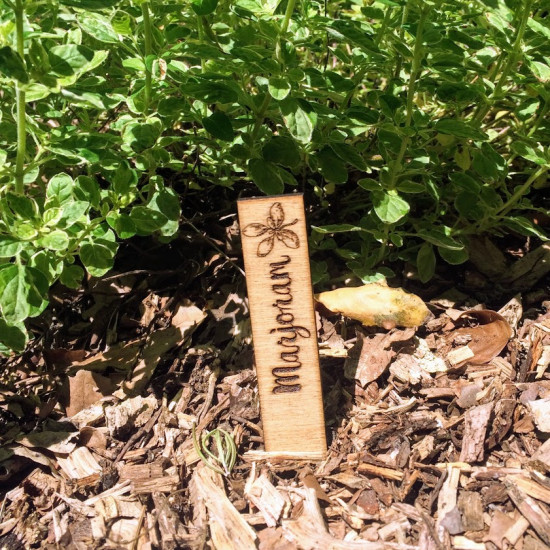 Single Herb or Vegetable Markers