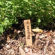 Single Herb or Vegetable Markers