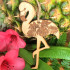 Flamingo Decoration