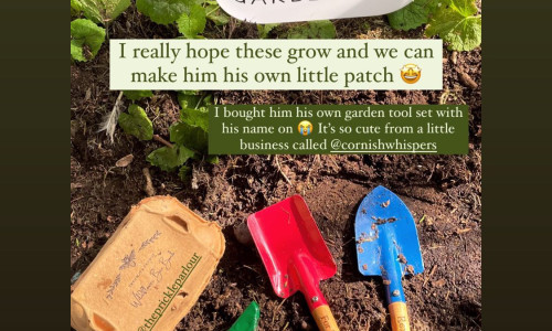 Stacey Solomon's Instagram Sparks Gardening Set Frenzy!