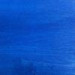 Blue Stain 