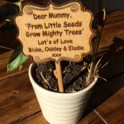 Plant Gift Stake