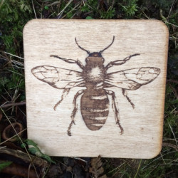 Wooden Bug Coasters
