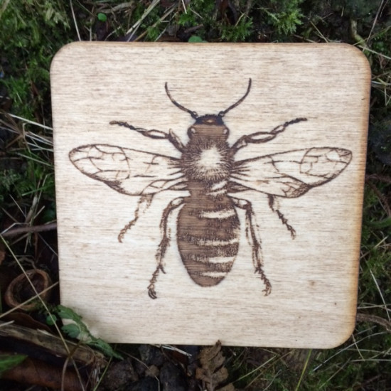 Wooden Bug Coasters