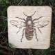 Wooden Bug Coasters